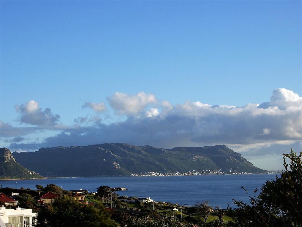 Restio Garden Studio Simonʼs Town Exterior foto
