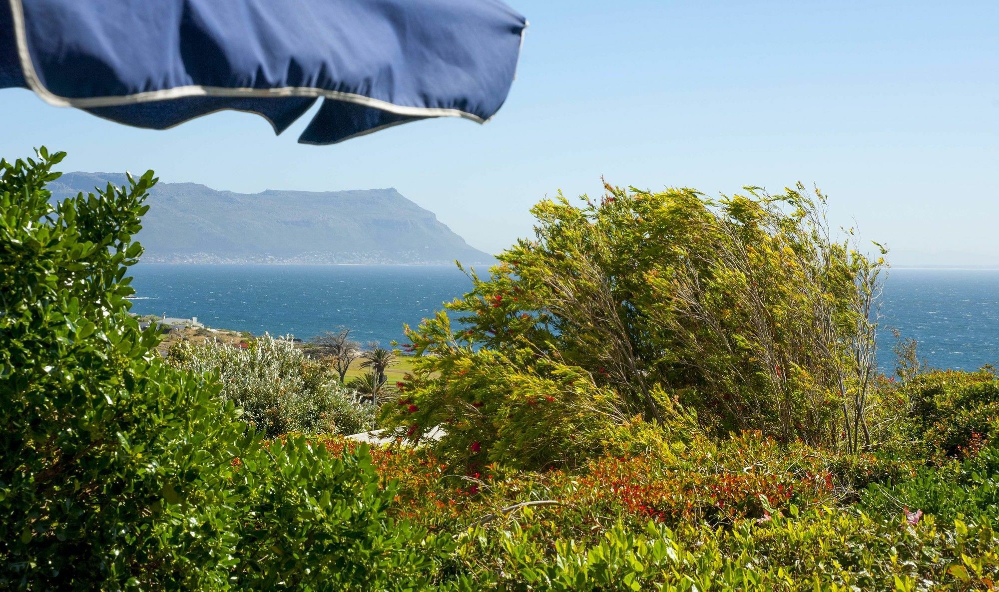 Restio Garden Studio Simonʼs Town Exterior foto
